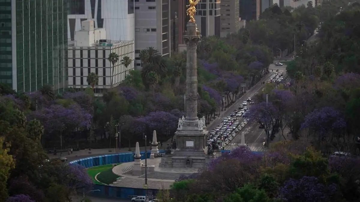 Paseo de la Reforma_angel de la independencia